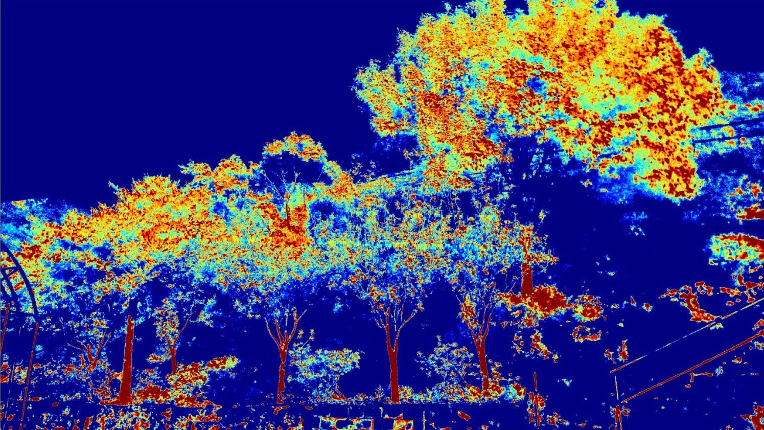 Real NDVI false-color output — a canopy read by the camera.