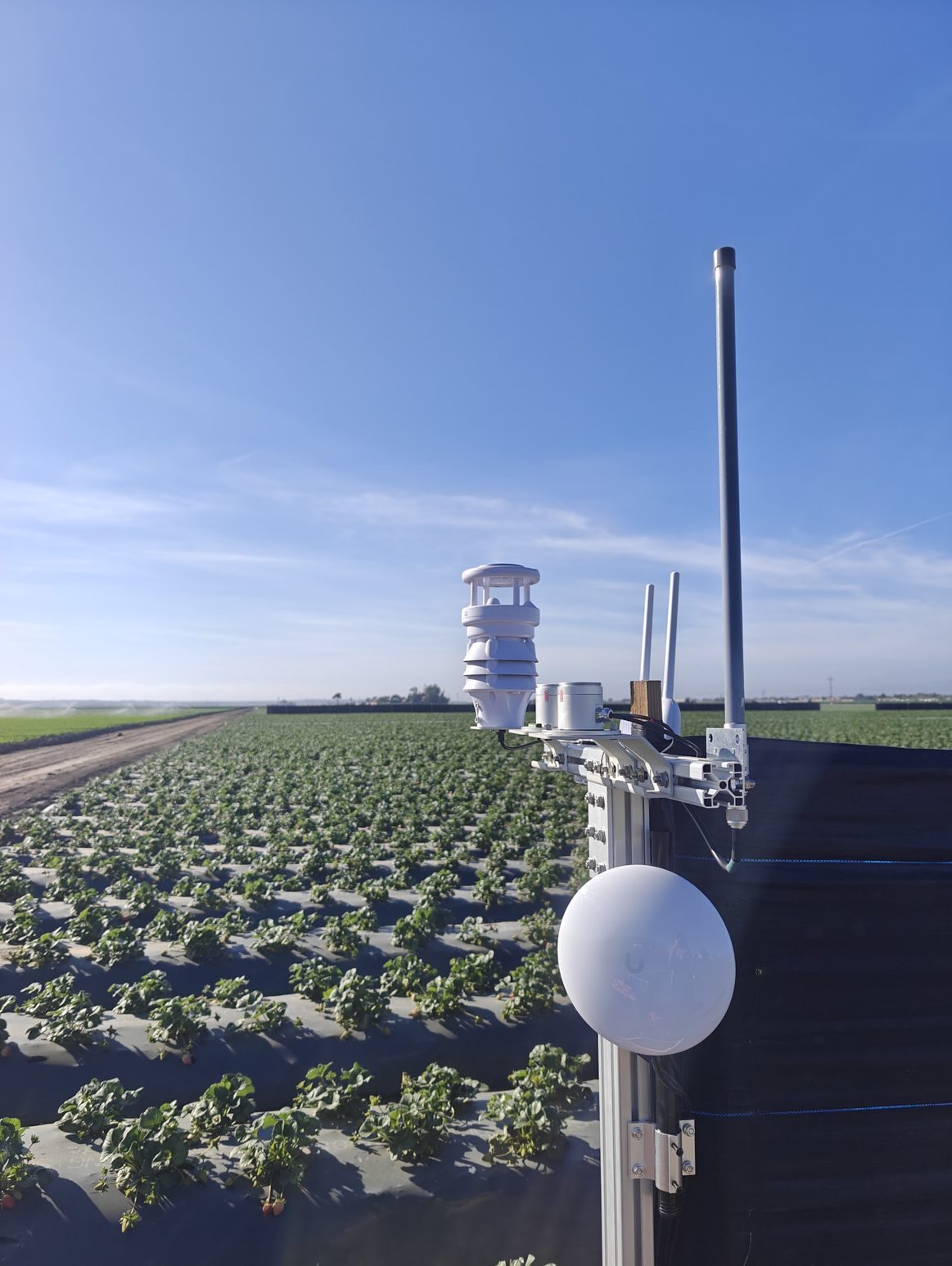 The weather station over the strawberry block.